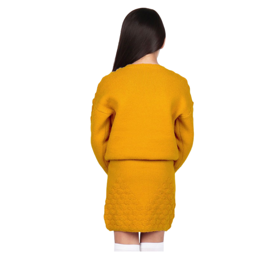 Sweater 2pc Matching Skirt Set
